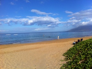 IMG_2286 Purrrrrfect Sunday!