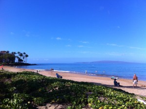 Picture perfect day!