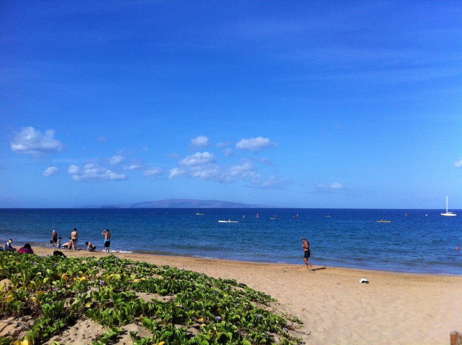 Gorgeous Memorial Day!