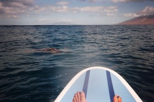 94660005 Lovely day!