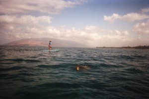 94660016 Coming to visit!