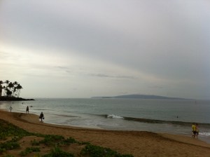 IMG_3359 Happy Thanksgiving!