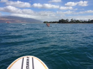 Crowded at Kalama Park!