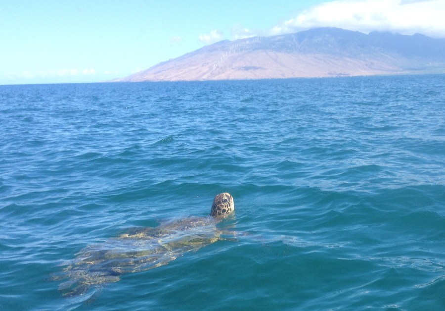 And it posed for me!!