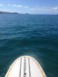 Happy just to be out!