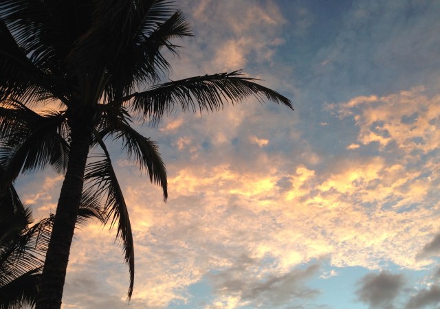 Beautiful sunset sky!