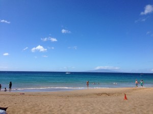 Short break in the wind....