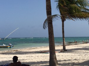 Swimming with turtles!