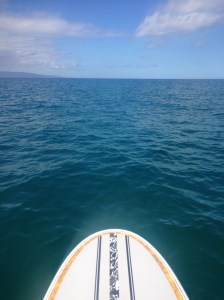 Windy and then nice....