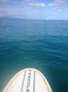 Started out so nice!