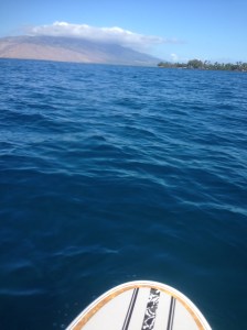 Mixed conditions....