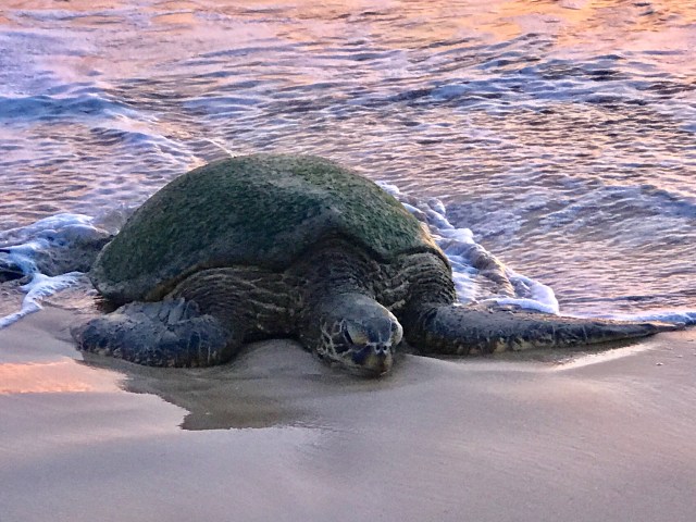 CBC92B62-CE22-4F3C-A35B-D7926D659519