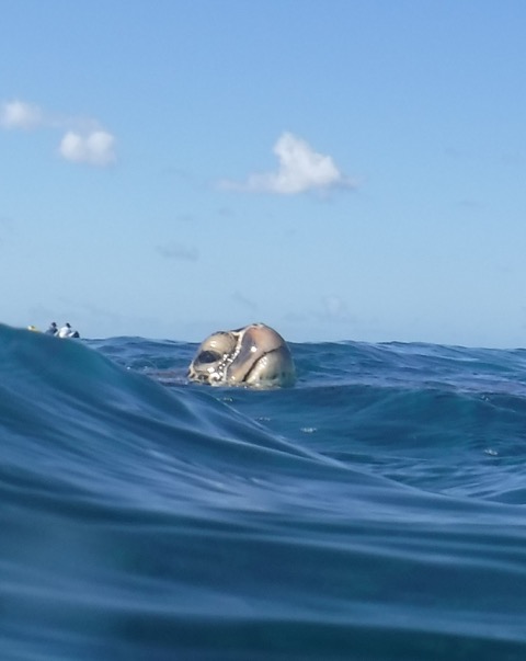 3E24BB6F-5C72-4B0A-8A5B-7B4721EEC4D8